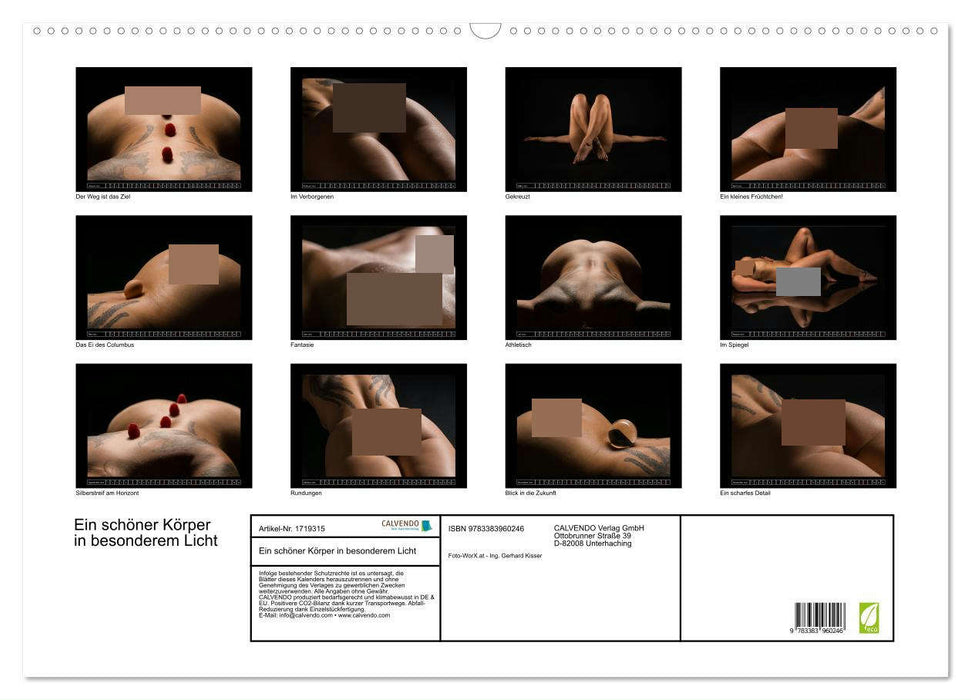 Ein schöner Körper in besonderem Licht (CALVENDO Wandkalender 2025)