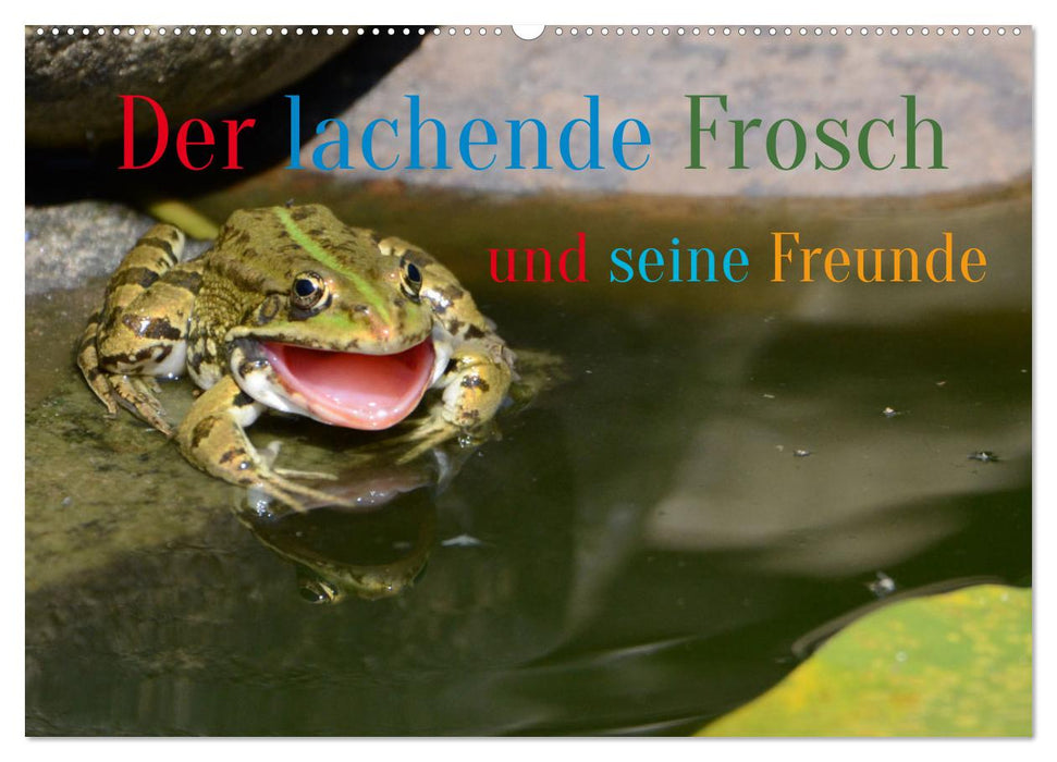 Der lachende Frosch und seine Freunde (CALVENDO Wandkalender 2025)