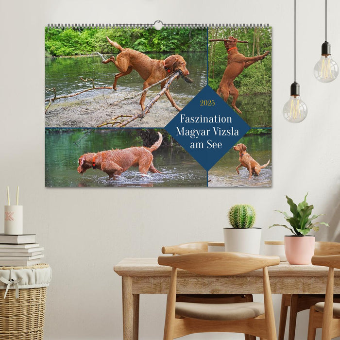 Faszination Magyar Vizsla am See (CALVENDO Wandkalender 2025)