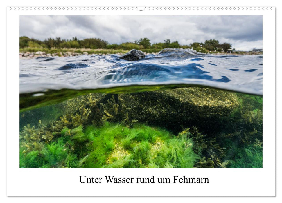 Unter Wasser rund um Fehmarn (CALVENDO Wandkalender 2025)