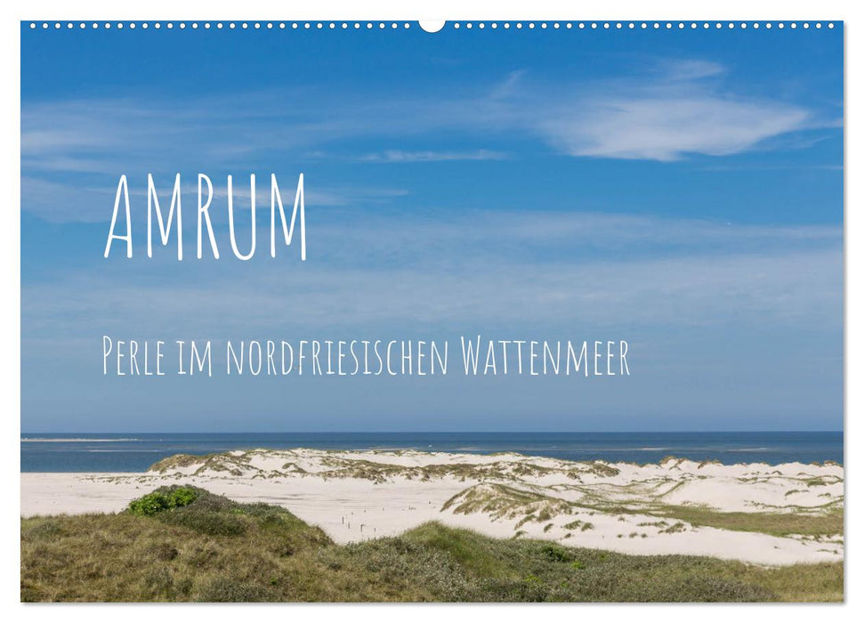 Amrum - Perle im nordfriesischen Wattenmeer (CALVENDO Wandkalender 2025)