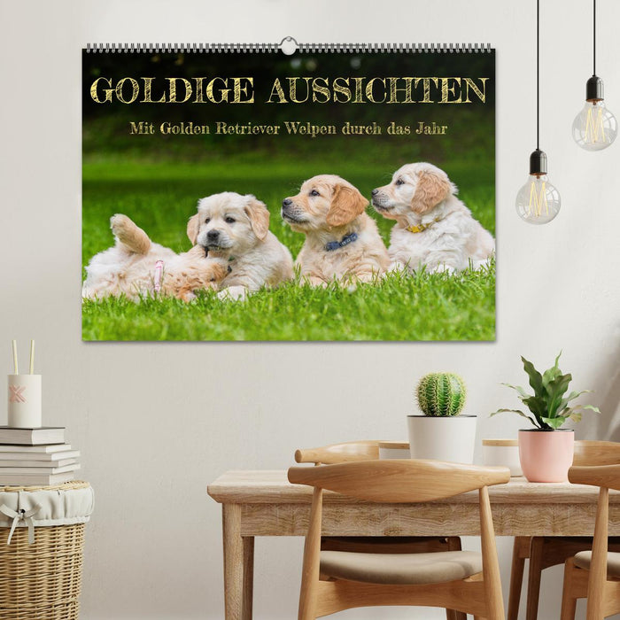 Goldige Aussichten - Mit Golden Retriever Welpen durch das Jahr (CALVENDO Wandkalender 2025)