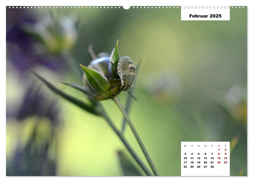 Buntes Leben am Teich (CALVENDO Wandkalender 2025)