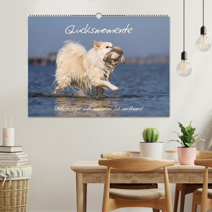 Glücksmomente - Unterwegs mit meinem Islandhund (CALVENDO Wandkalender 2025)