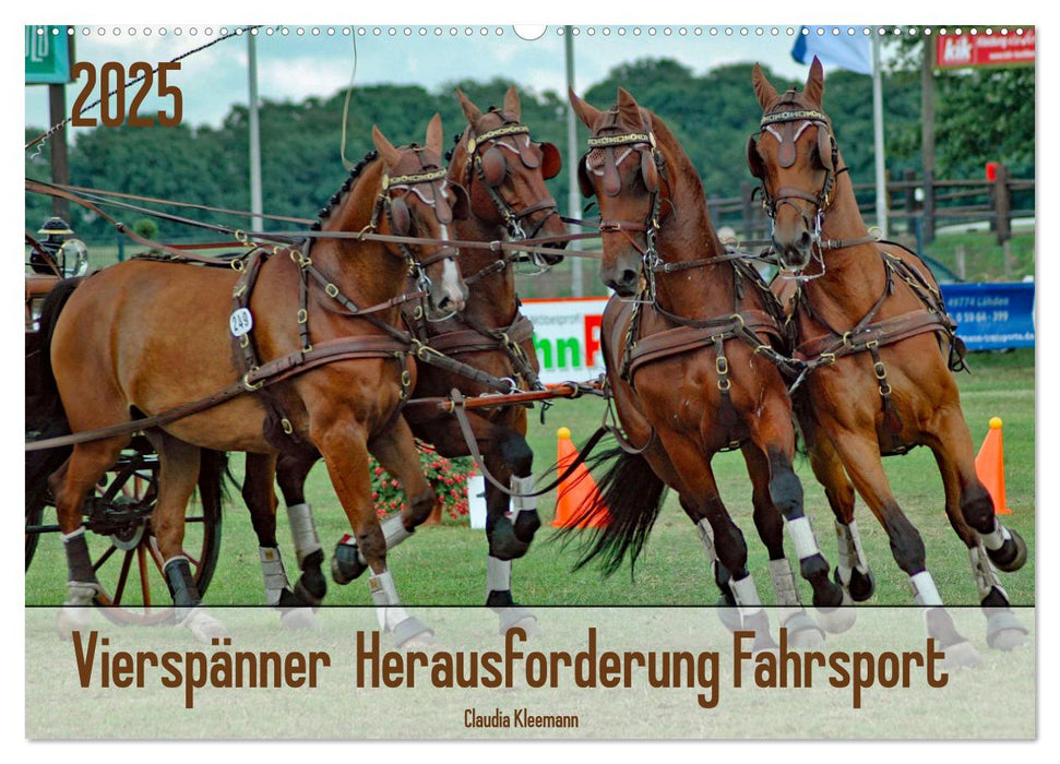 Vierspänner Herausforderung Fahrsport (CALVENDO Wandkalender 2025)