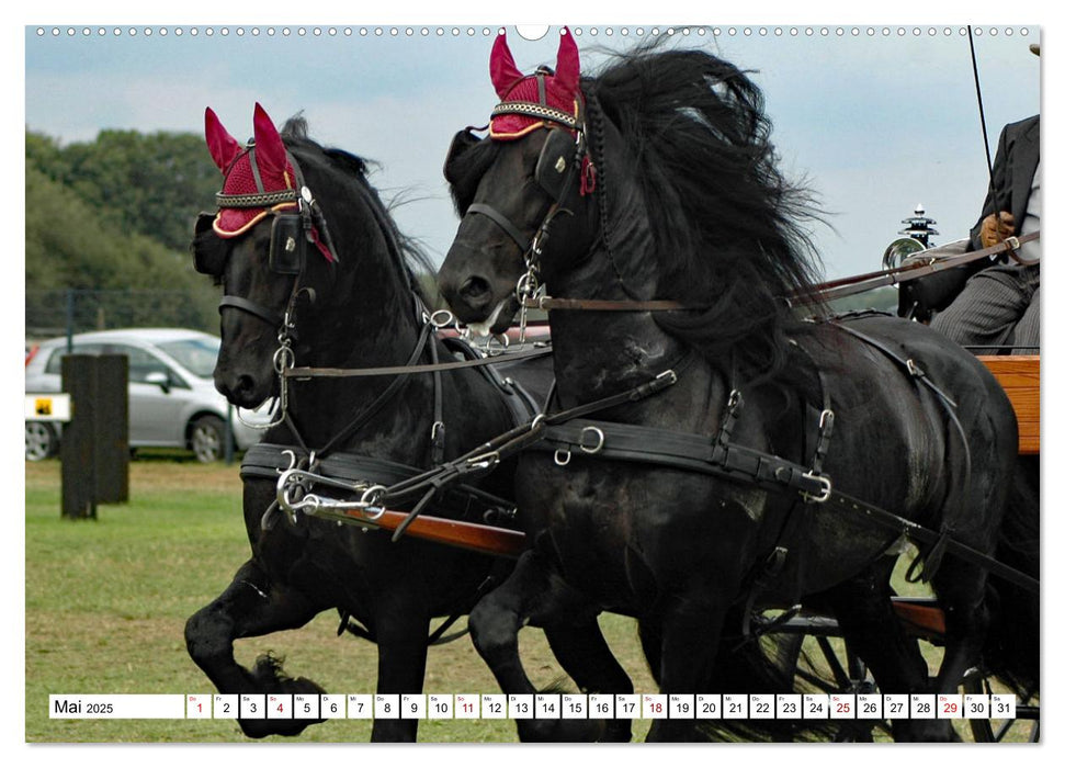 Faszination Fahrsport - Zweispänner im Galopp durch den Parcour (CALVENDO Wandkalender 2025)