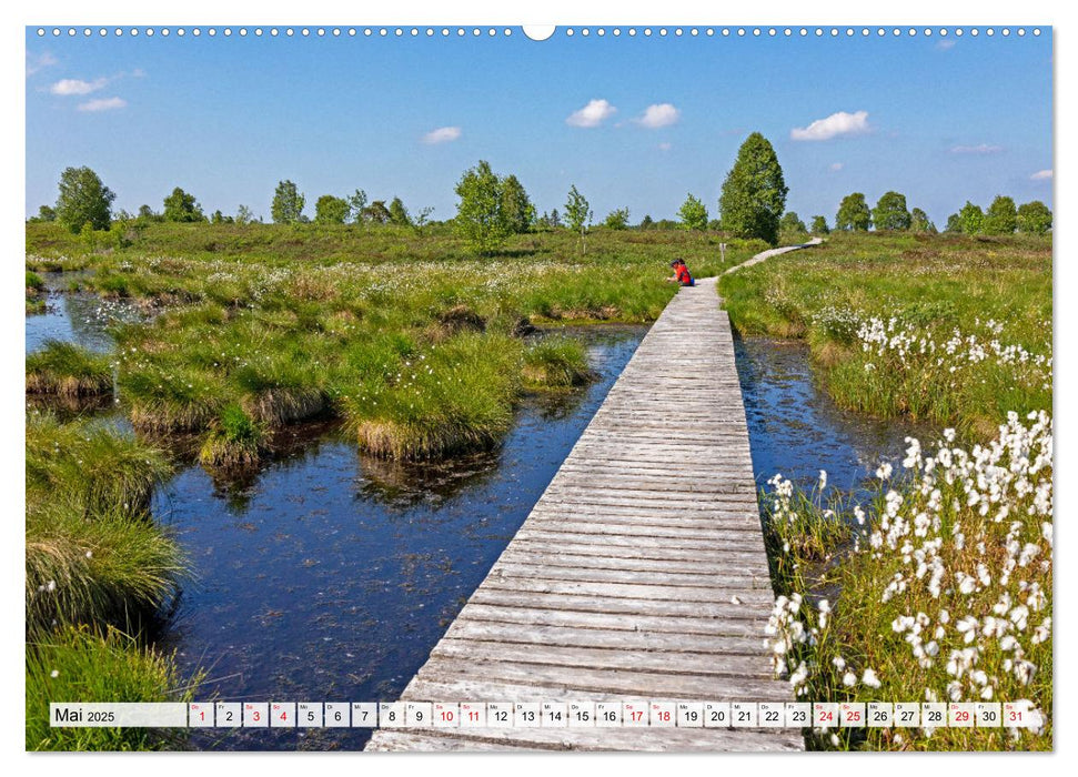 Die Eifel und das Hohe Venn (CALVENDO Wandkalender 2025)