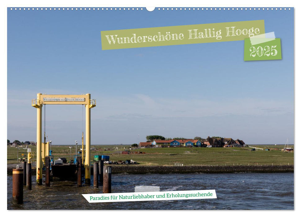 Wunderschöne Hallig Hooge (CALVENDO Wandkalender 2025)