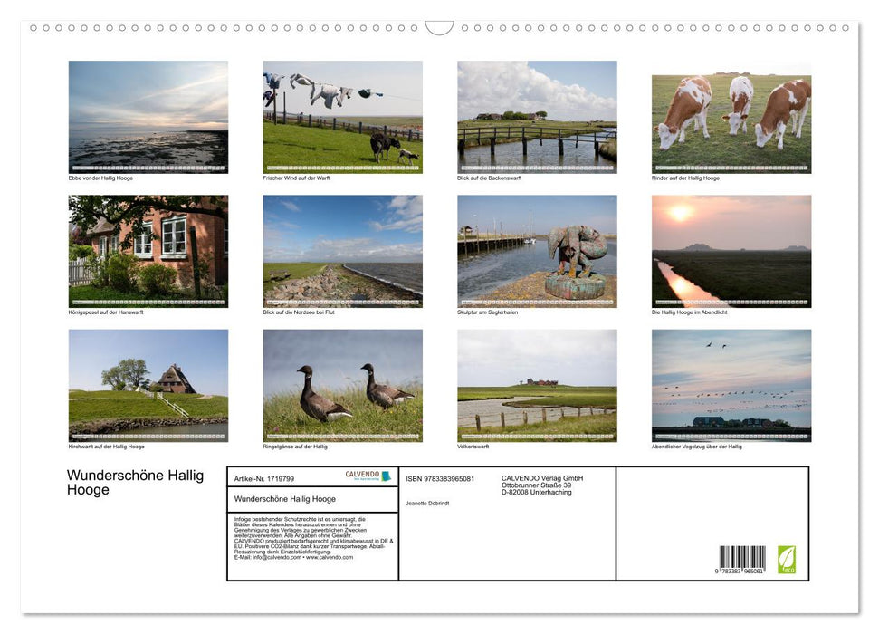 Wunderschöne Hallig Hooge (CALVENDO Wandkalender 2025)