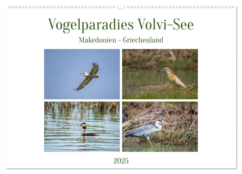 Vogelparadies Volvi-See (CALVENDO Wandkalender 2025)