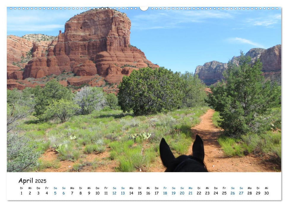 Abenteuer Pferd - Ritte durch die Wüsten und Canyons der USA (CALVENDO Wandkalender 2025)