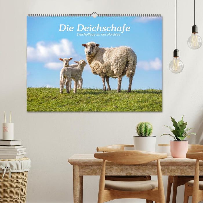 Die Deichschafe. Deichpflege an der Nordsee (CALVENDO Wandkalender 2025)