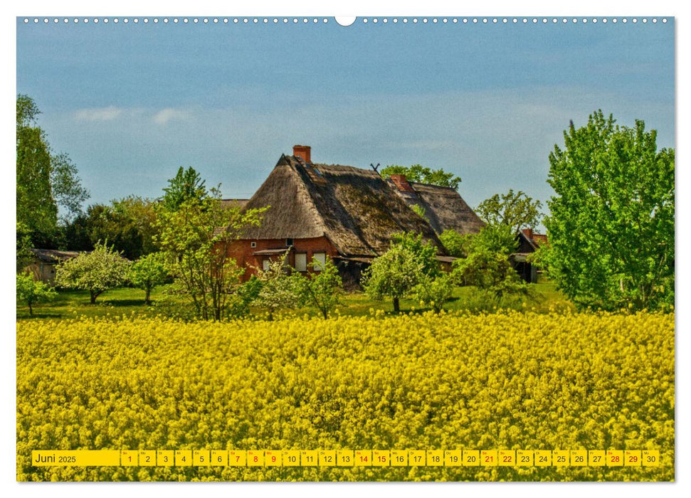 Reetdachhäuser in Hoben - Ein Maitag in der Wismarbucht (CALVENDO Premium Wandkalender 2025)