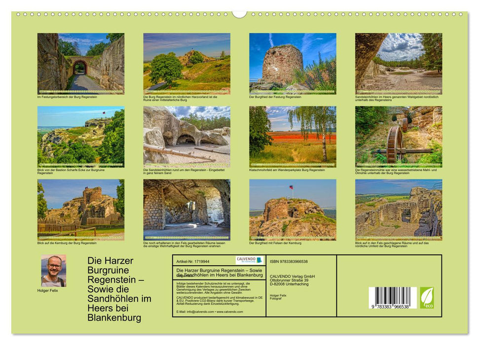 Die Harzer Burgruine Regenstein – Sowie die Sandhöhlen im Heers bei Blankenburg (CALVENDO Premium Wandkalender 2025)