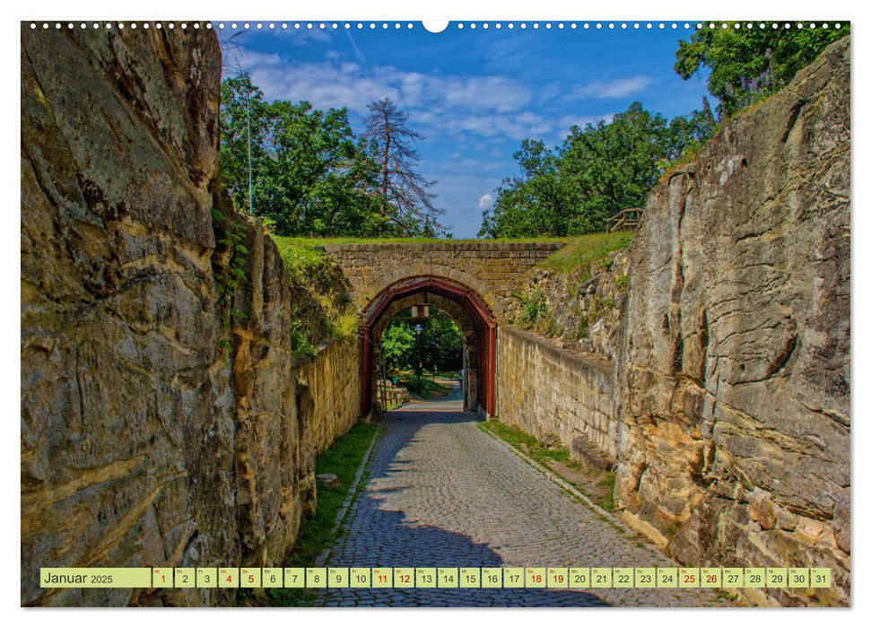 Die Harzer Burgruine Regenstein – Sowie die Sandhöhlen im Heers bei Blankenburg (CALVENDO Premium Wandkalender 2025)