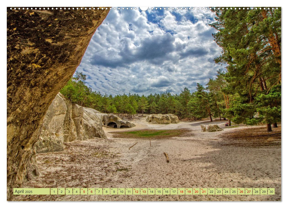 Die Harzer Burgruine Regenstein – Sowie die Sandhöhlen im Heers bei Blankenburg (CALVENDO Premium Wandkalender 2025)