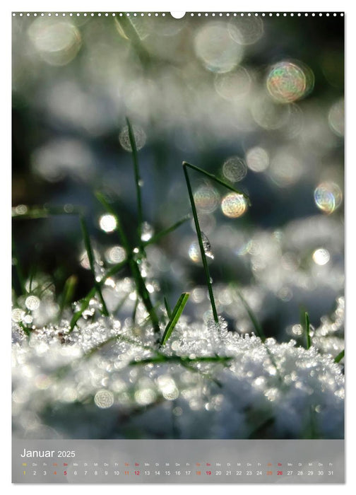 Mit Bokeh-Fotografie durch das Jahr (CALVENDO Wandkalender 2025)