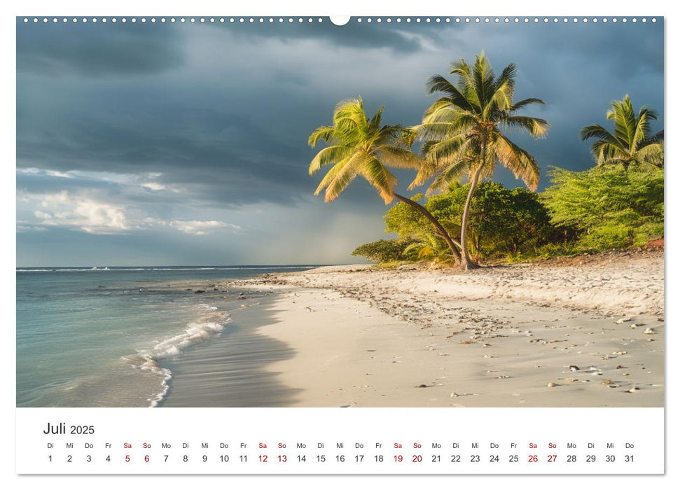 Gestrandet - Ein Jahr auf Robinsons Insel (CALVENDO Premium Wandkalender 2025)