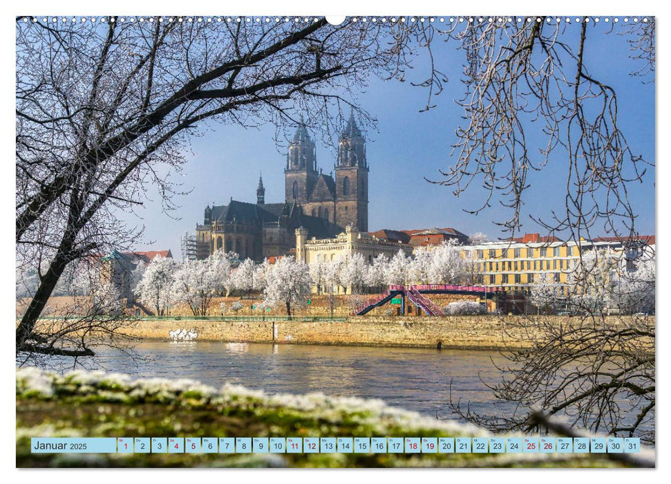 Mit dem Magdeburger Dom durchs Jahr (CALVENDO Wandkalender 2025)