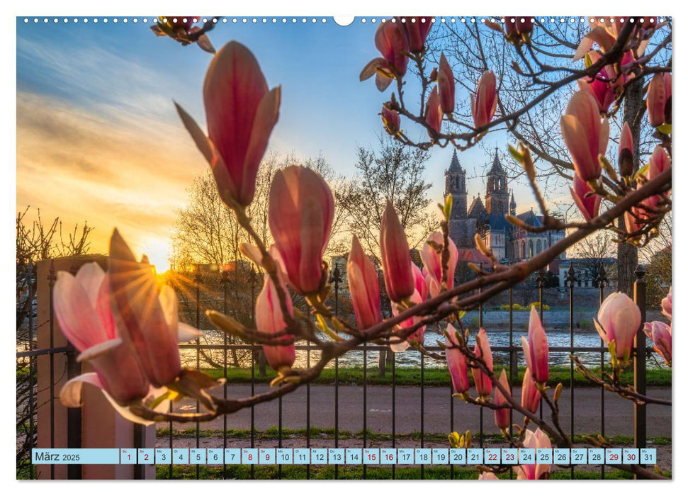 Mit dem Magdeburger Dom durchs Jahr (CALVENDO Premium Wandkalender 2025)
