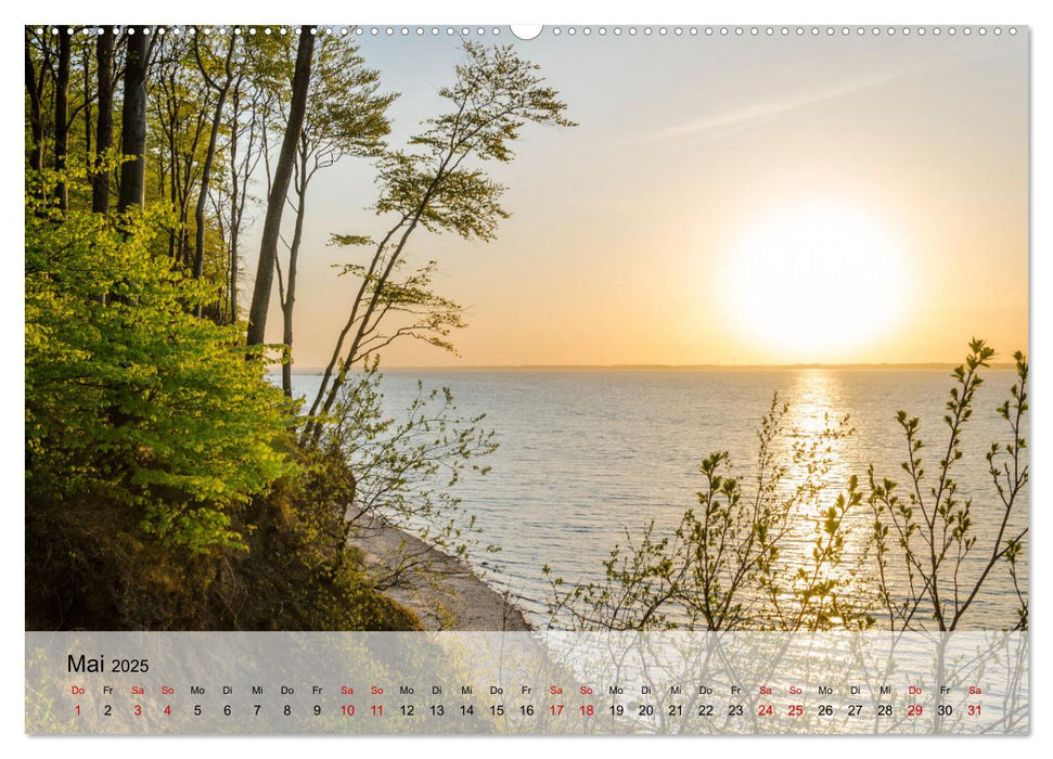 Ostseeküste Schwedeneck 2025 (CALVENDO Premium Wandkalender 2025)