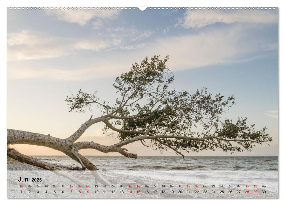 Ostseeküste Schwedeneck 2025 (CALVENDO Premium Wandkalender 2025)