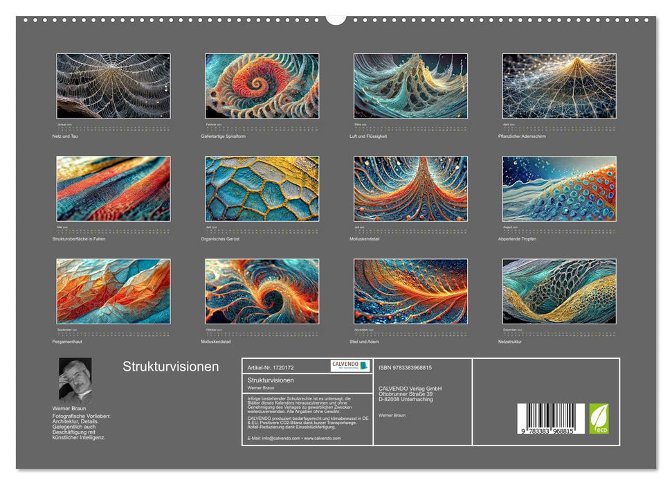 Strukturvisionen (CALVENDO Premium Wandkalender 2025)