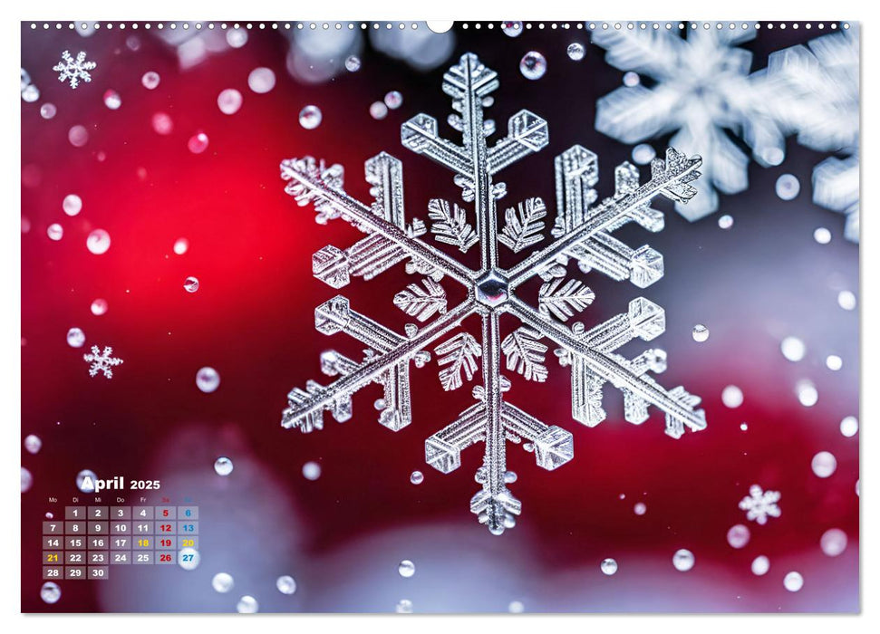 Schneekristalle und Eiszapfen Eisige Zeiten für alle Winterfans (CALVENDO Premium Wandkalender 2025)
