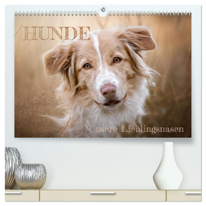 Hunde - Unsere Lieblingsnasen (CALVENDO Premium Wandkalender 2025)