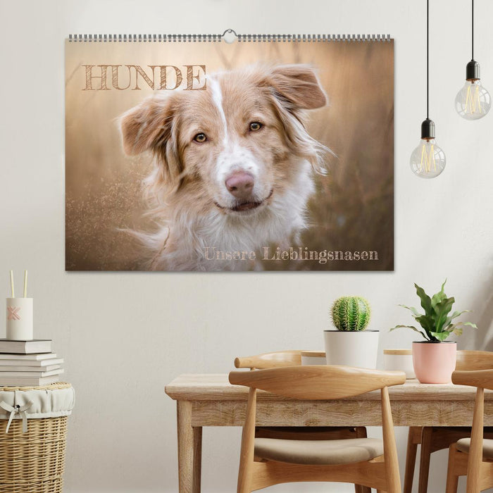 Hunde - Unsere Lieblingsnasen (CALVENDO Wandkalender 2025)