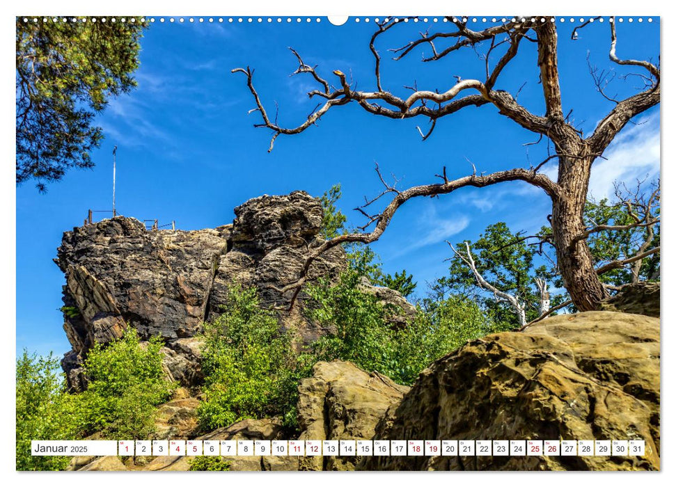 Harzer Teufelsmauer – Juniwanderung (CALVENDO Premium Wandkalender 2025)