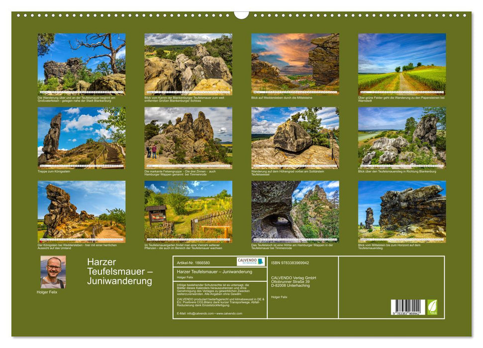 Harzer Teufelsmauer – Juniwanderung (CALVENDO Wandkalender 2025)