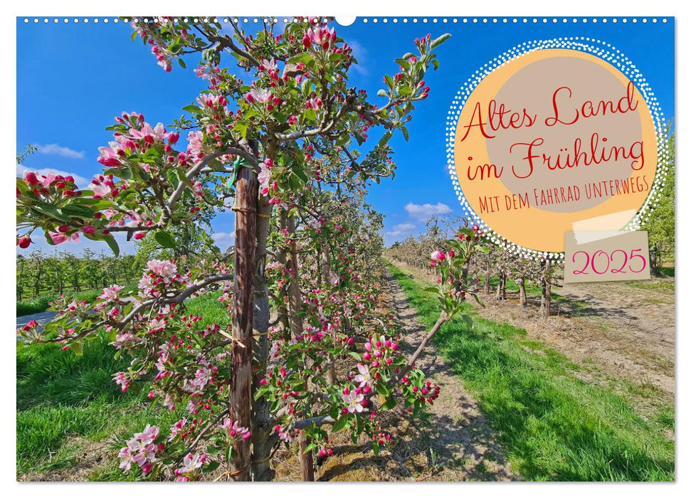 Altes Land im Frühling - Mit dem Fahrrad unterwegs (CALVENDO Wandkalender 2025)