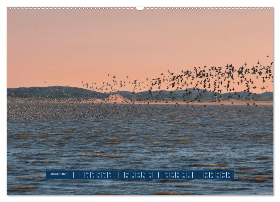 Ein Tag am Meer - Impressionen von der Insel Sylt (CALVENDO Wandkalender 2025)