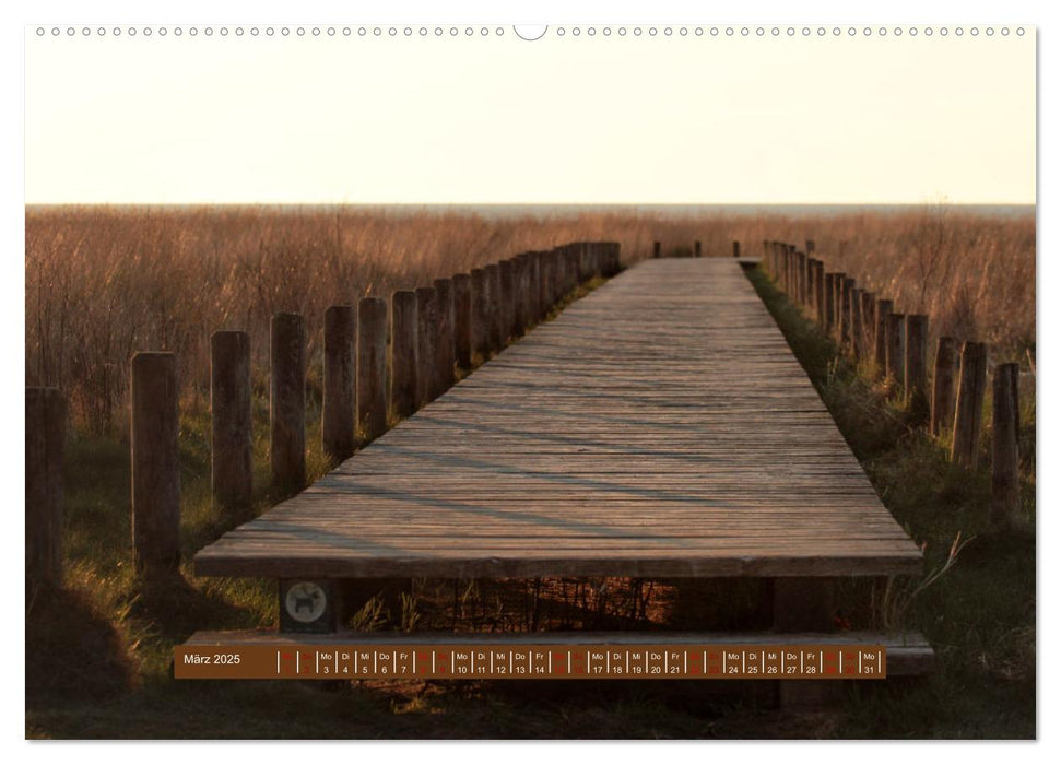 Ein Tag am Meer - Impressionen von der Insel Sylt (CALVENDO Wandkalender 2025)