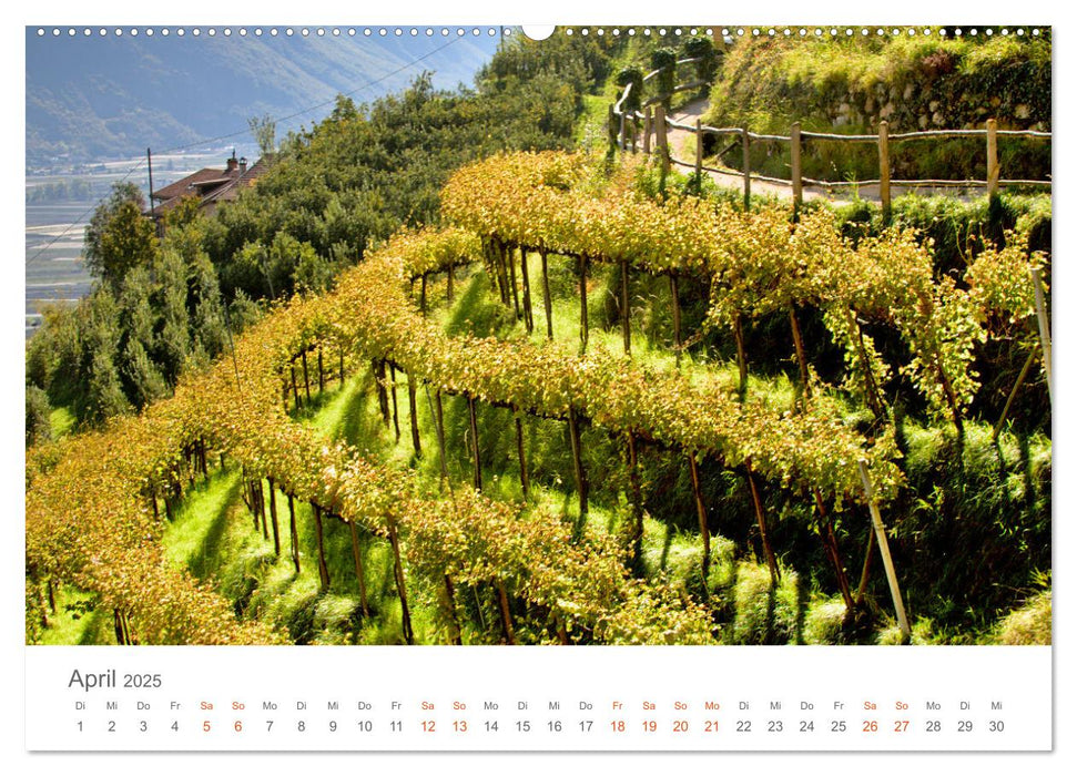 Goldener Herbst in Südtirol (CALVENDO Premium Wandkalender 2025)