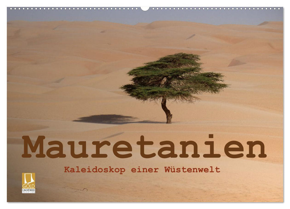 Mauretanien - Kaleidoskop einer Wüstenwelt (CALVENDO Wandkalender 2025)