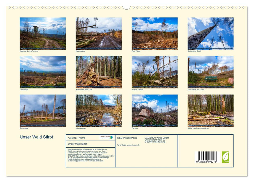 Unser Wald Stirbt (CALVENDO Premium Wandkalender 2025)