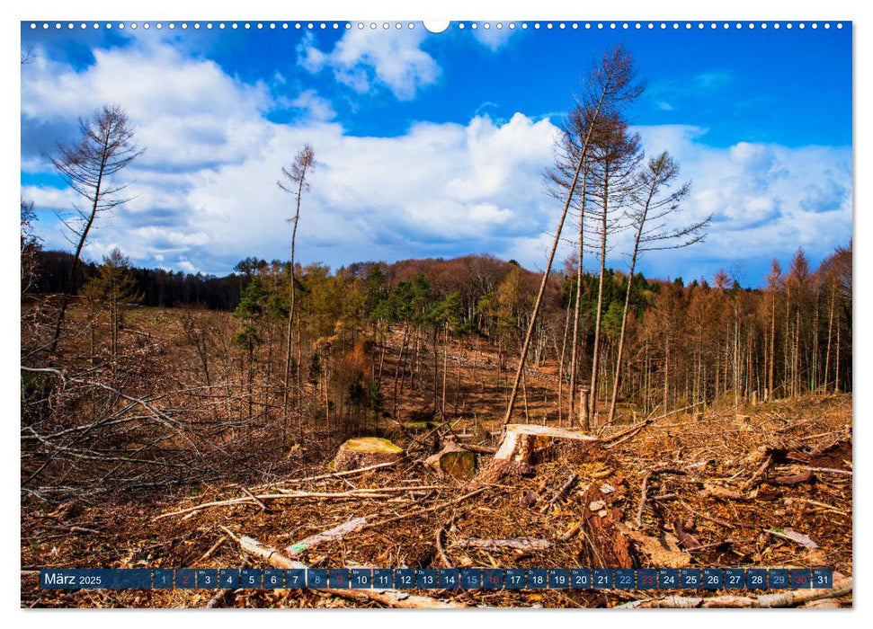 Unser Wald Stirbt (CALVENDO Premium Wandkalender 2025)