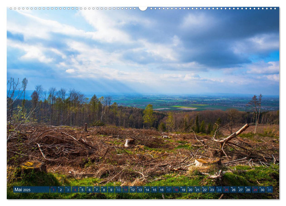 Unser Wald Stirbt (CALVENDO Premium Wandkalender 2025)