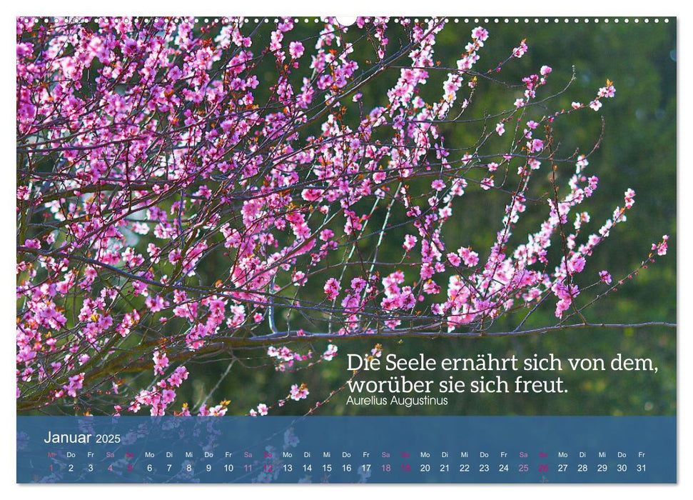 FASZINATION MANDELBLÜTE (CALVENDO Premium Wandkalender 2025)