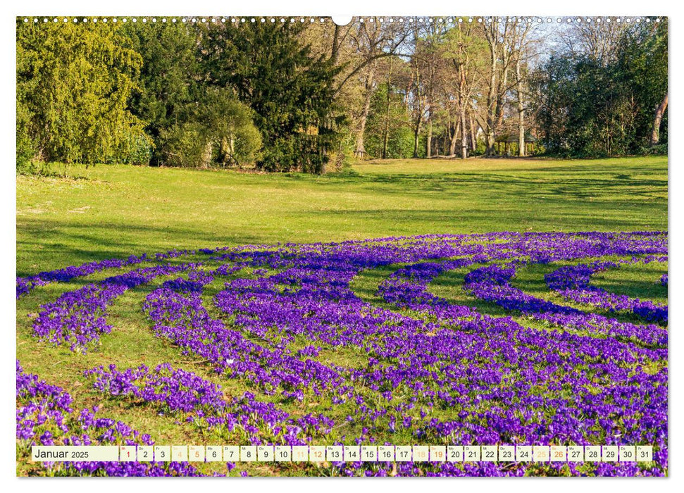 Parks und Gärten in Köln (CALVENDO Premium Wandkalender 2025)