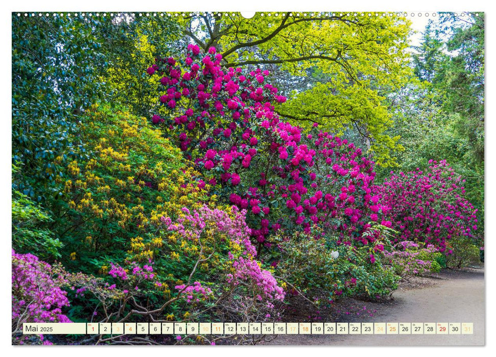 Parks und Gärten in Köln (CALVENDO Premium Wandkalender 2025)