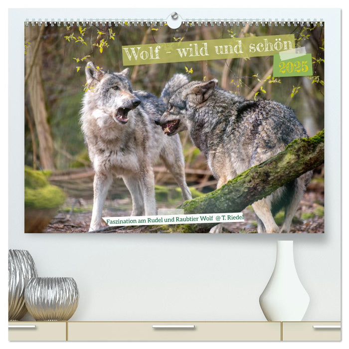 Wolf - wild und schön (CALVENDO Premium Wandkalender 2025)