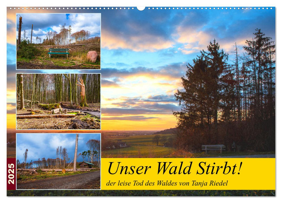 Unser Wald Stirbt (CALVENDO Wandkalender 2025)