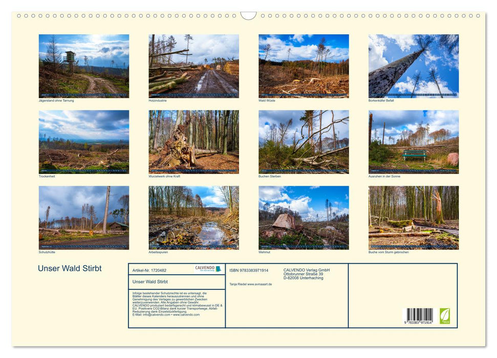 Unser Wald Stirbt (CALVENDO Wandkalender 2025)