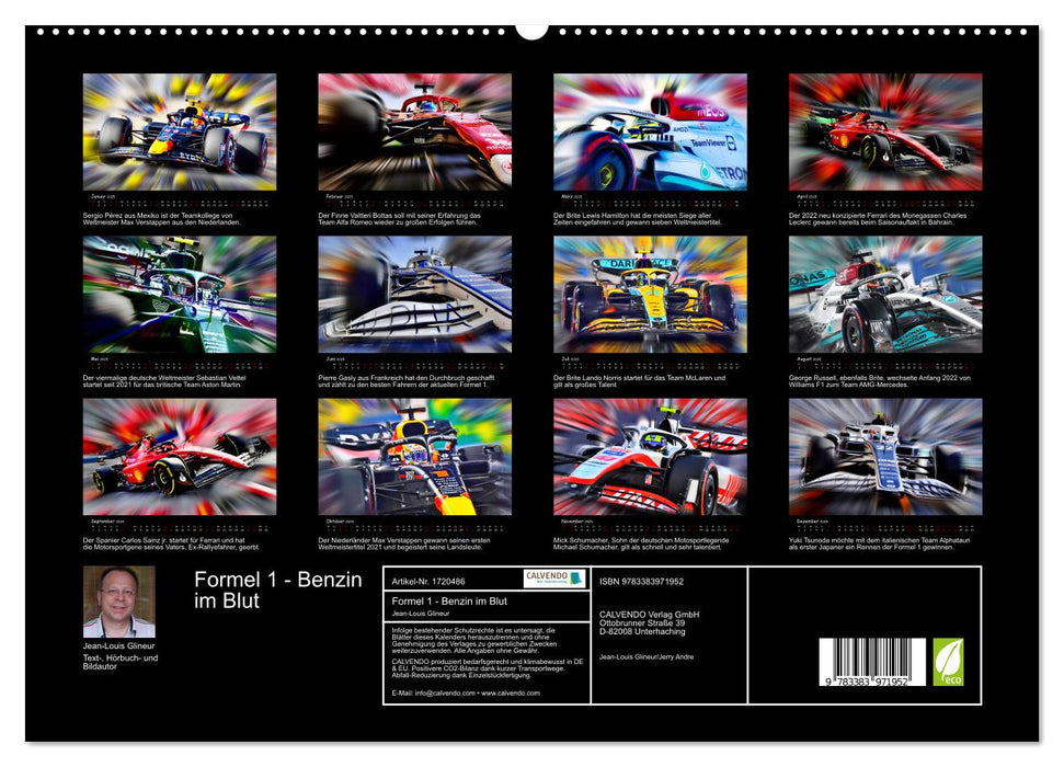 Formel 1 - Benzin im Blut (CALVENDO Premium Wandkalender 2025)