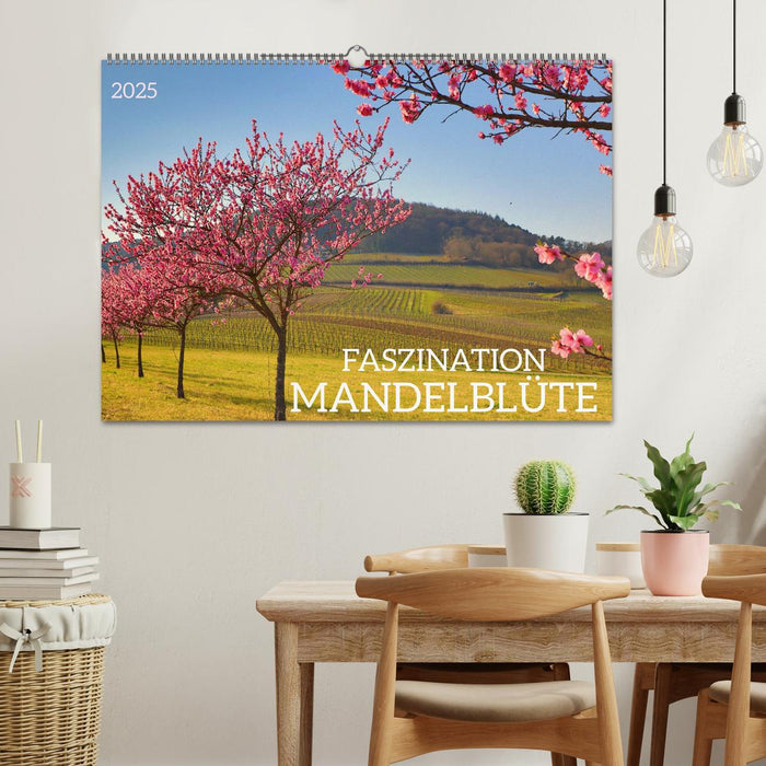 FASZINATION MANDELBLÜTE (CALVENDO Wandkalender 2025)