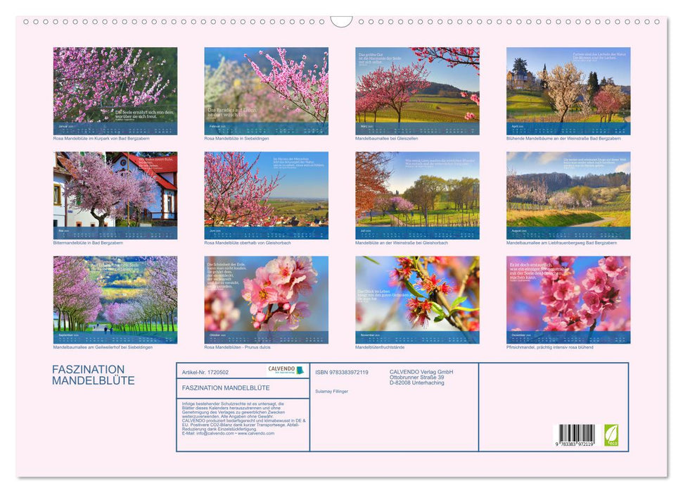 FASZINATION MANDELBLÜTE (CALVENDO Wandkalender 2025)