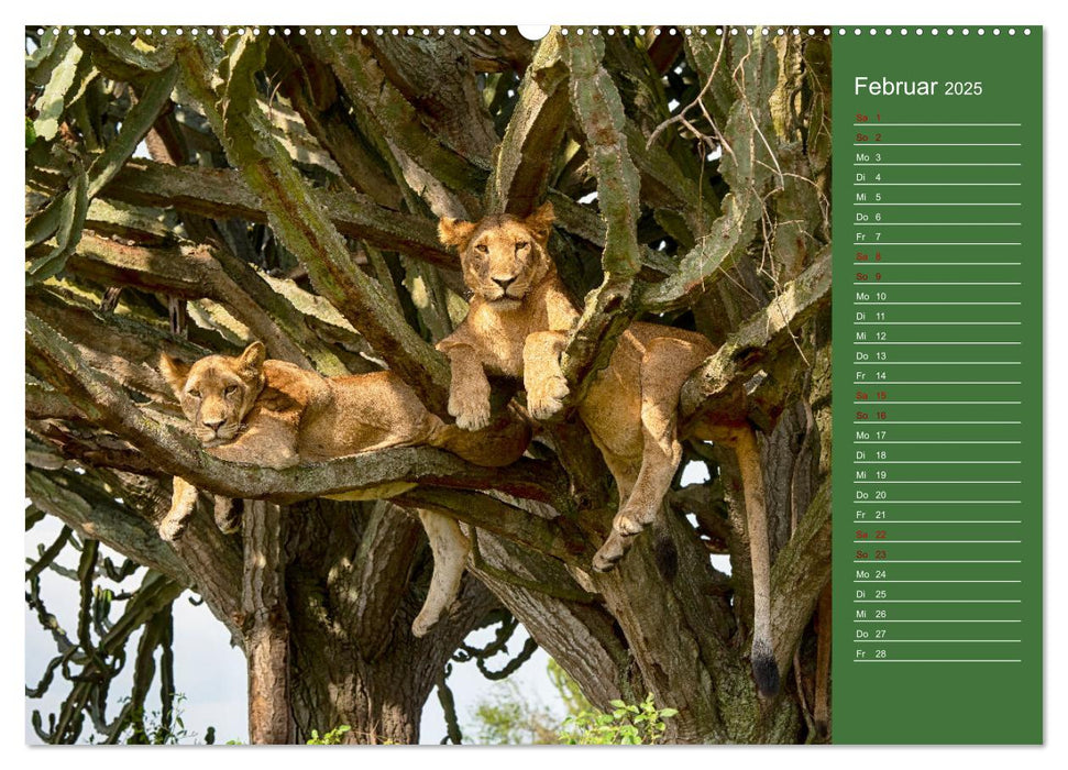 UGANDA - Perle Afrikas (CALVENDO Premium Wandkalender 2025)